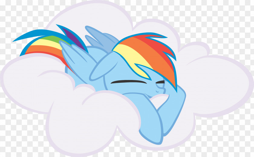 Horse Rainbow Dash My Little Pony: Friendship Is Magic Fandom Applejack PNG