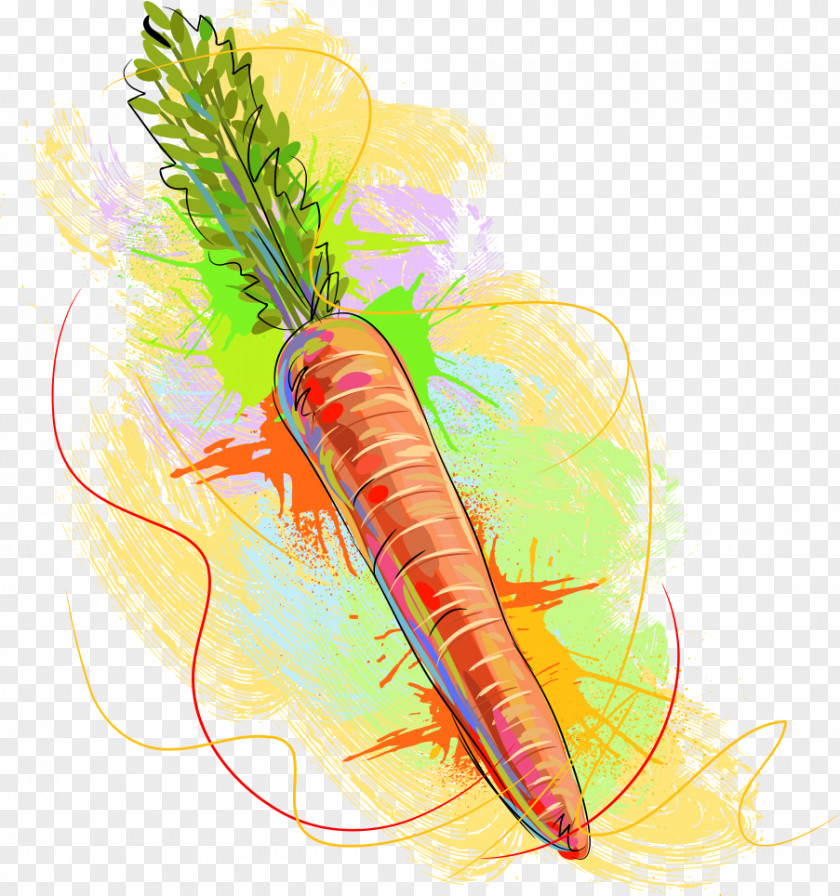 Vector Painted Carrot Vegetable PNG