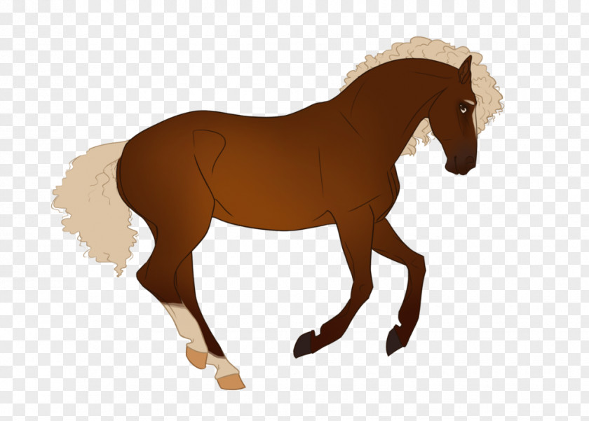 Discussion Starters Mustang Mane Foal Mare Stallion PNG