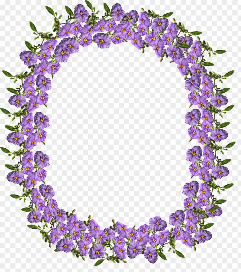 PURPLE BORDER Purple Lilac Lavender Violet PNG