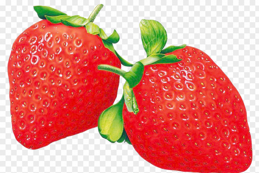 Strawberry,fruit,Free Pull Multimedia Projectors Red Auglis Pre-school Kindergarten PNG