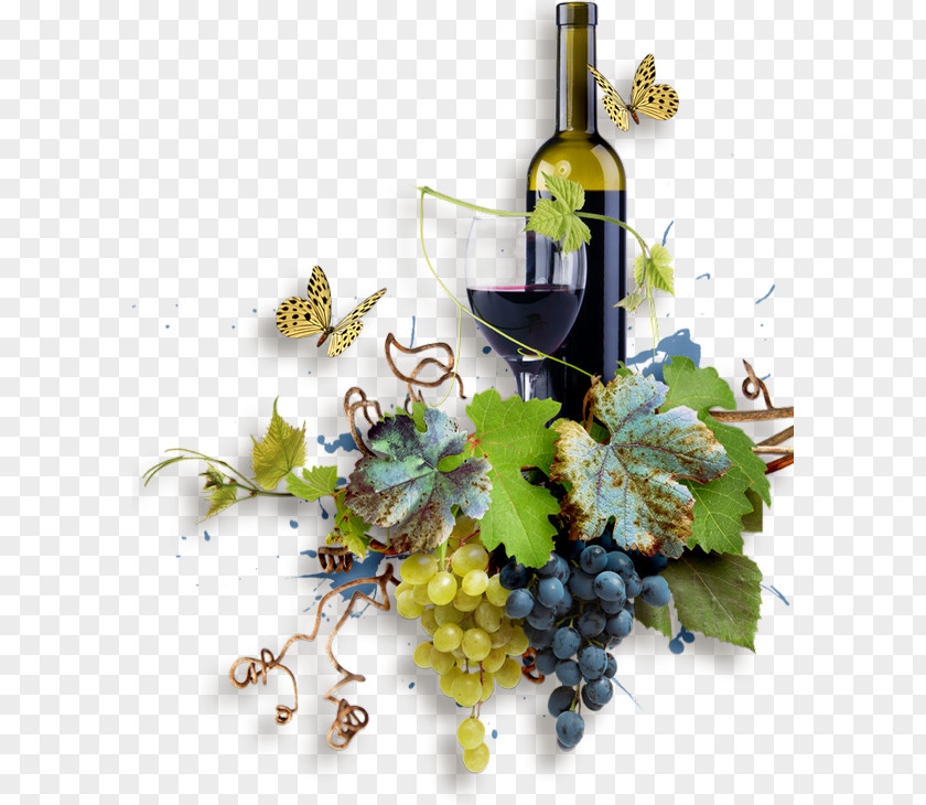 Summer Wine Fest Grape White Harvest Cardoland PNG
