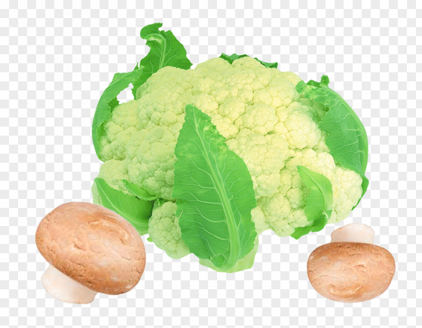 White Cauliflower Creative Image File Formats Vegetable Clip Art PNG
