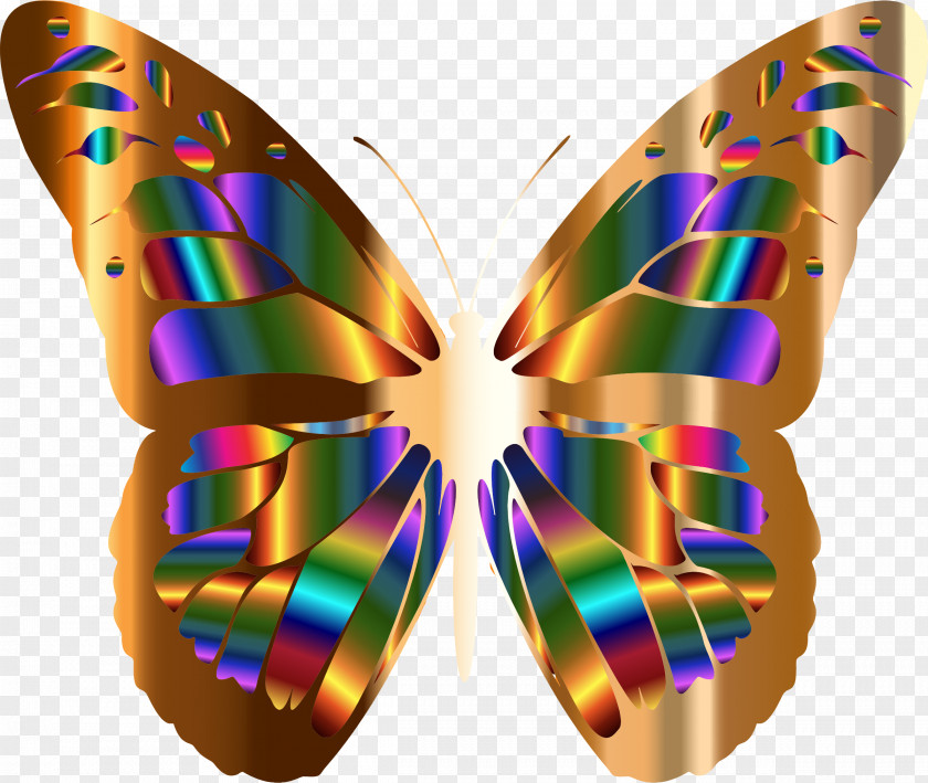 Butterfly Monarch Art Greta Oto PNG