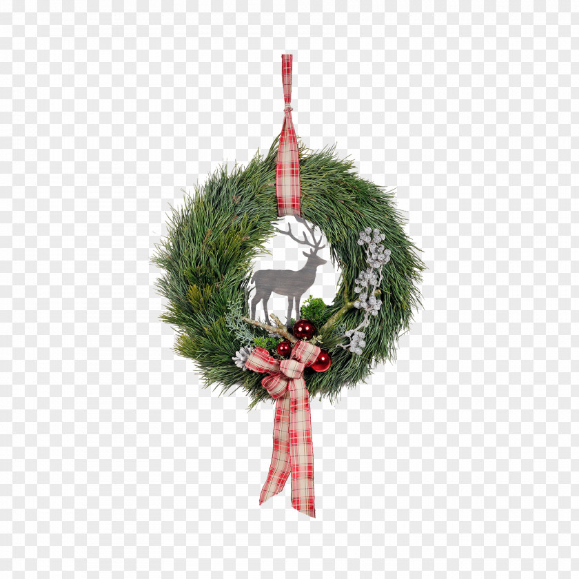 Christmas Ornament Fir Spruce Pine Wreath PNG