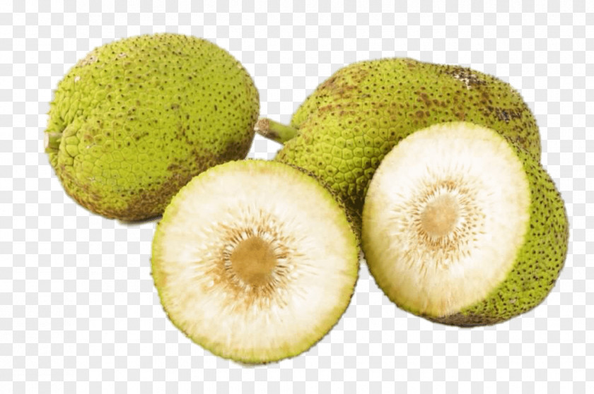 Ekmek Breadfruit Jackfruit Food Tropical Fruit PNG