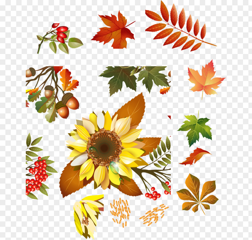Floral Design Clip Art Osenniy File Format PNG