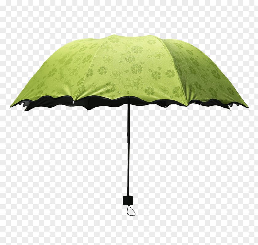 Green Umbrella Umbrellas Auringonvarjo PNG