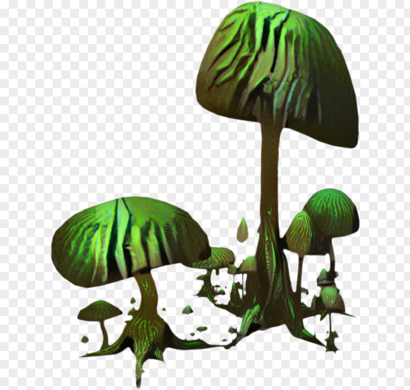 Mushroom Clip Art Green Illustration Image PNG