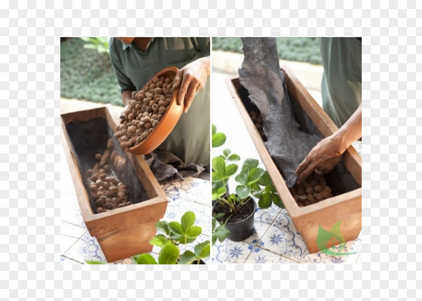 Strawberry Flowerpot Garden Centre Bonsai Mulch PNG