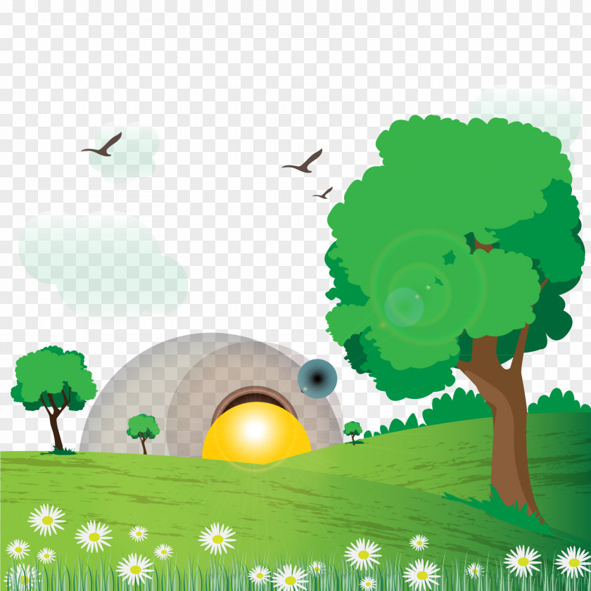 Sunrise Spring Landscape With Daisies Vector Natural Euclidean Drawing PNG