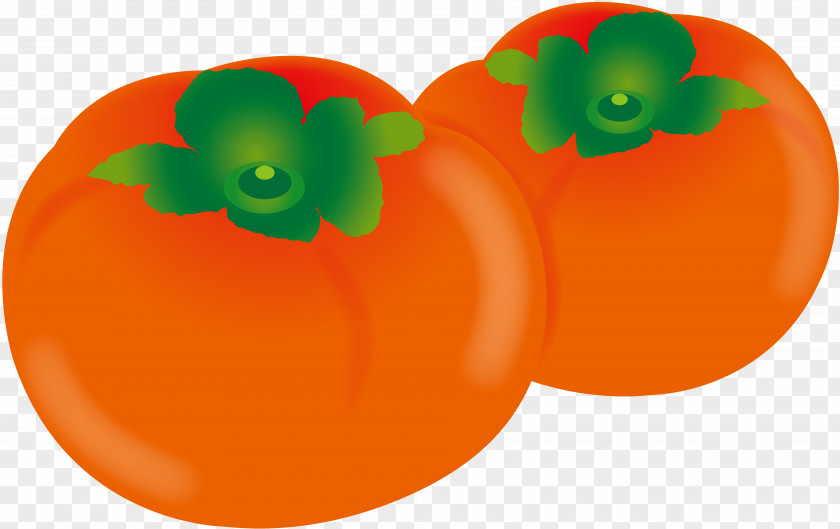 Copyright-free Illustration Fruit Japanese Persimmon Public Domain PNG