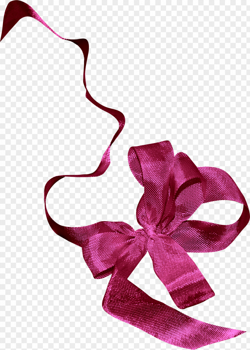 Ribbon Clip Art Image Photography PNG