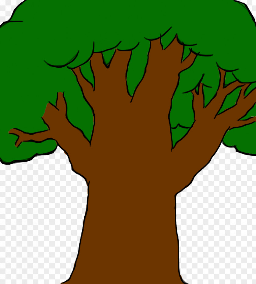 TREE CARTOON Tree Cartoon Drawing Clip Art PNG