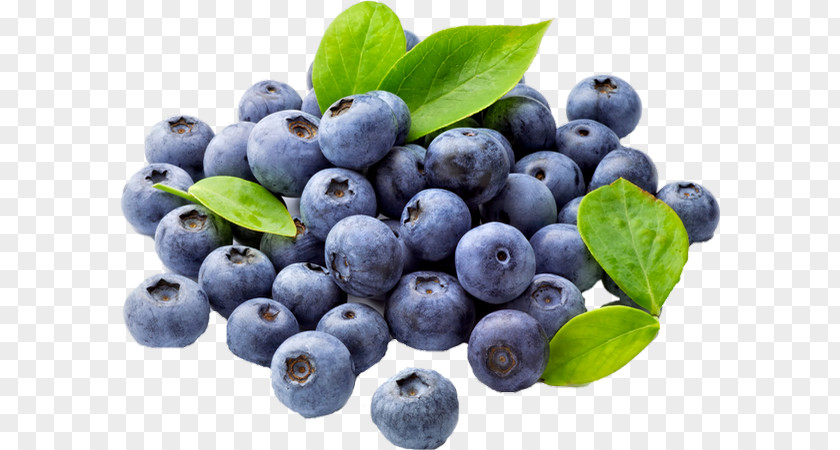 Blueberry Fruit Food Antioxidant Flavor PNG