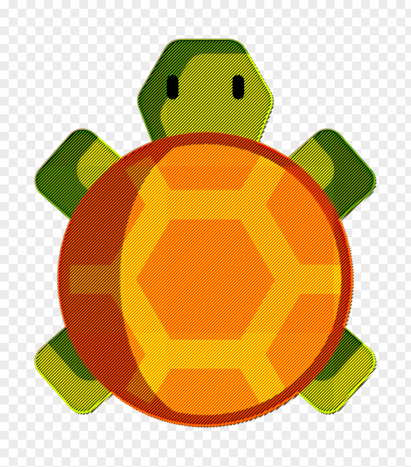Desert Icon Animal Turtle PNG