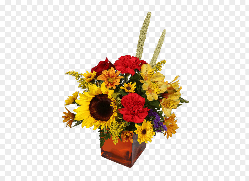 Flower Floral Design Cut Flowers Bouquet Transvaal Daisy PNG