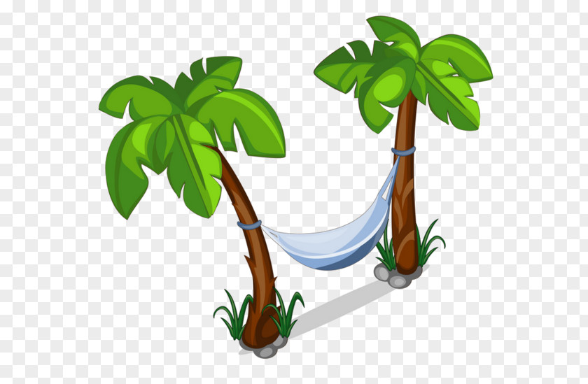 Palm Tree PNG