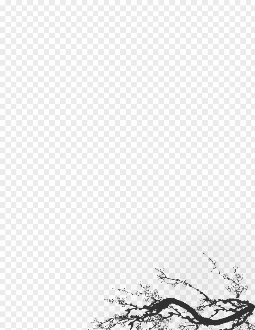 Plum Flower Twig White Sky Black Leaf PNG