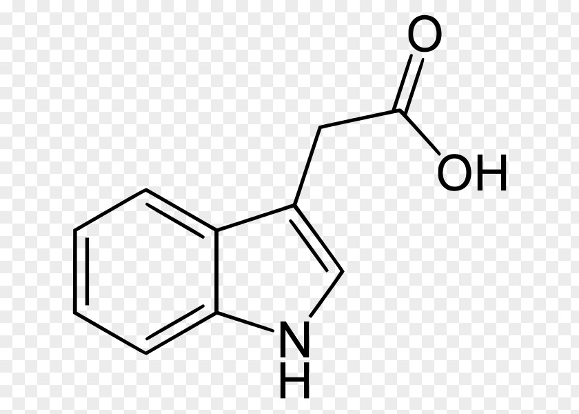Acid Indole-3-acetic Indole-3-butyric Auxin PNG