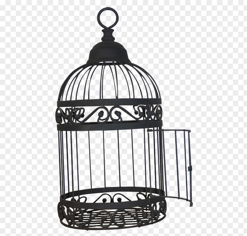 Bird Birdcage Clip Art PNG