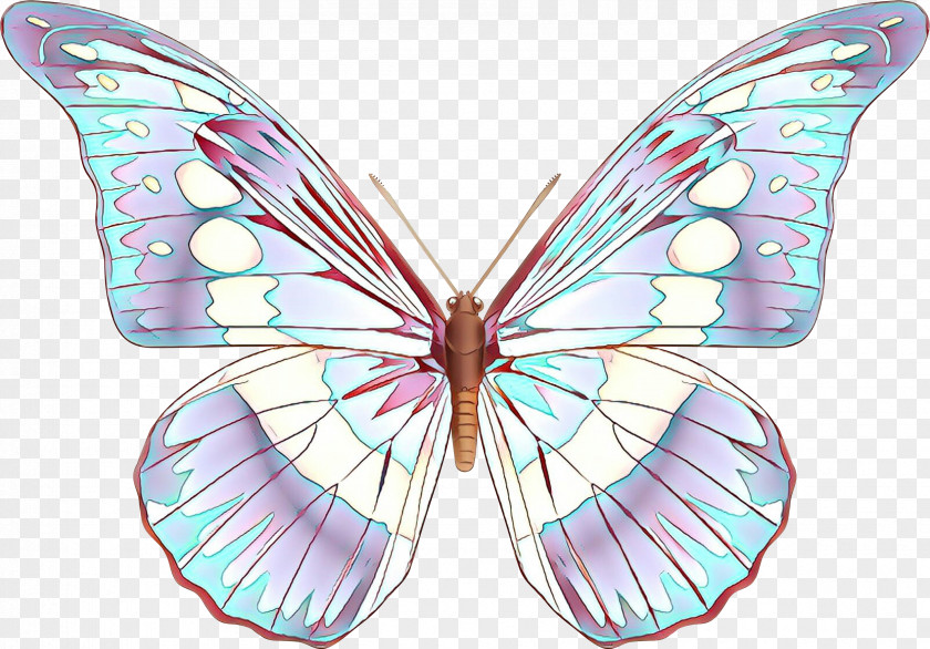 Brushfooted Butterfly Symmetry Insect Moths And Butterflies Wing Pink PNG
