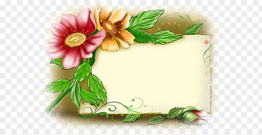 Flower Desktop Wallpaper Floral Design Stock Photography Clip Art PNG