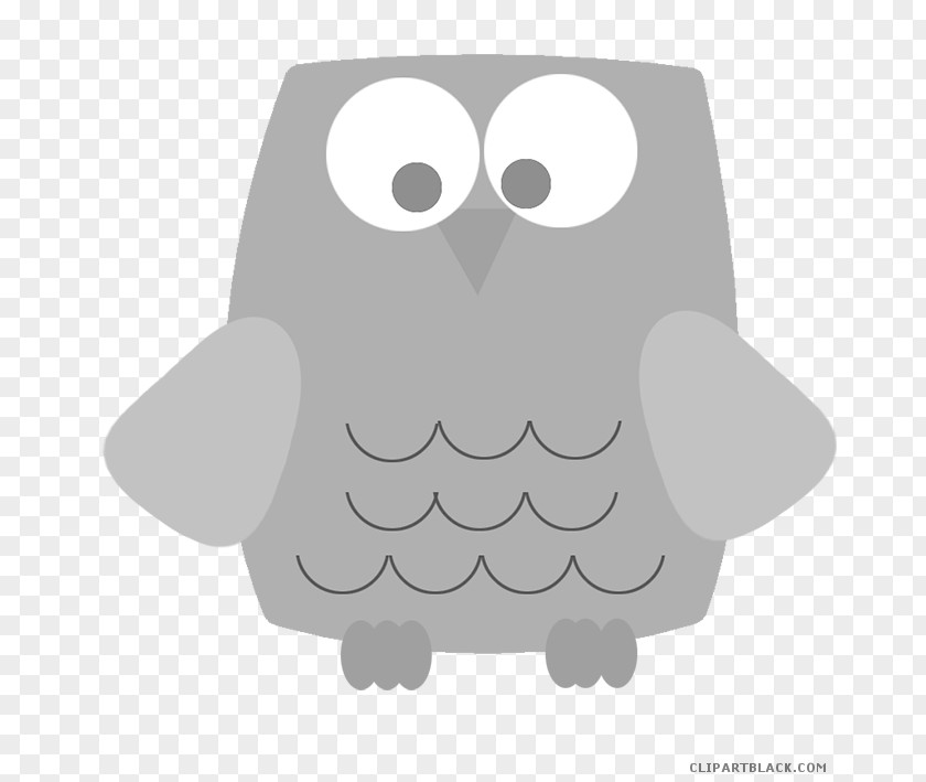 Owl Clip Art Image Cartoon Drawing PNG