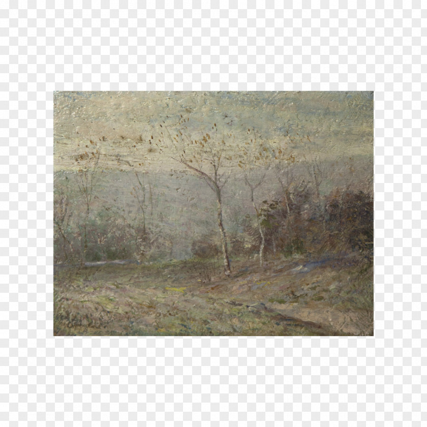 Painting /m/083vt American Impressionism Ecosystem Tree PNG