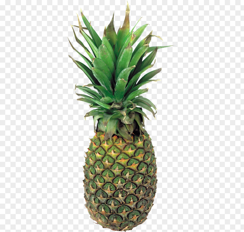 Pineapple Fruit Clip Art Juice PNG