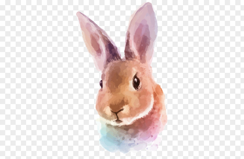 Watercolor Cartoon Rabbit Hare Painting Illustration PNG