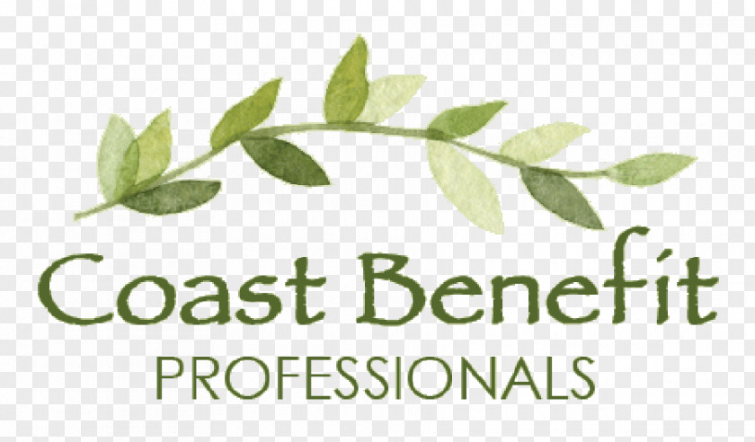 Employee Benefits Coast Benefit Professionals Ashley Drive Service Brand PNG