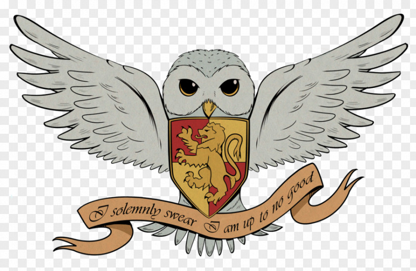 Flying Owl Harry Potter And The Deathly Hallows Hedwig Drawing PNG