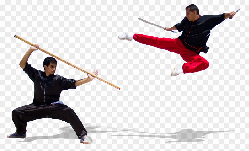Sanda Chinese Martial Arts Wushu Taolu Sanshou PNG