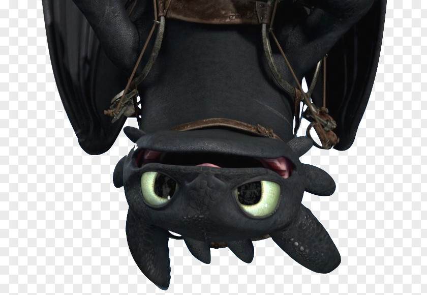 Toothless Hiccup Horrendous Haddock III How To Train Your Dragon Tuffnut YouTube PNG