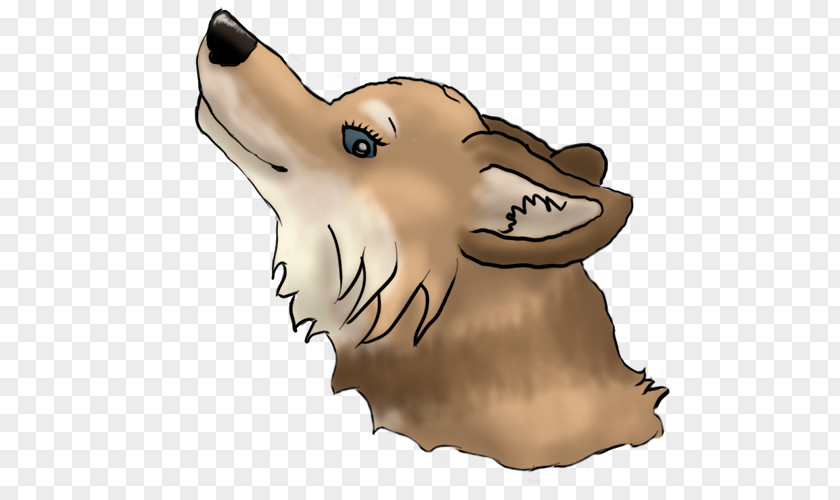 Dog Snout Bear Jaw Paw PNG