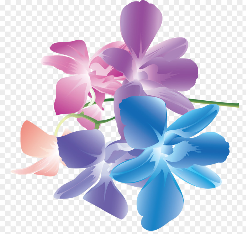 Flower Graphic Design PNG