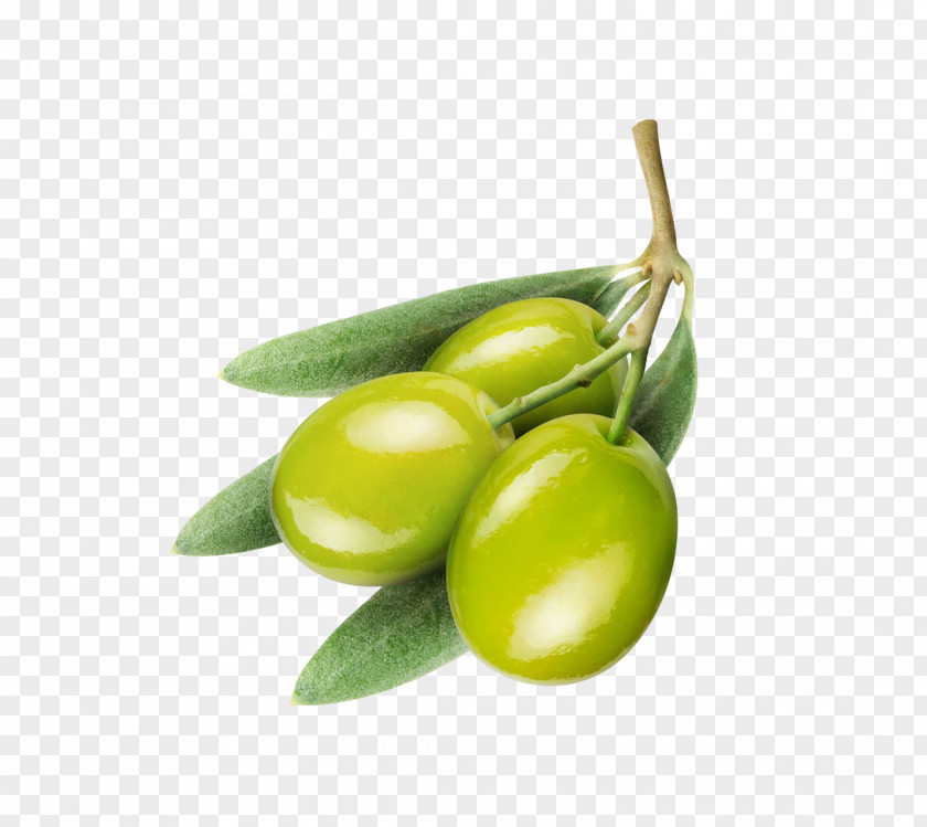 Olives Olive Oil Icon PNG