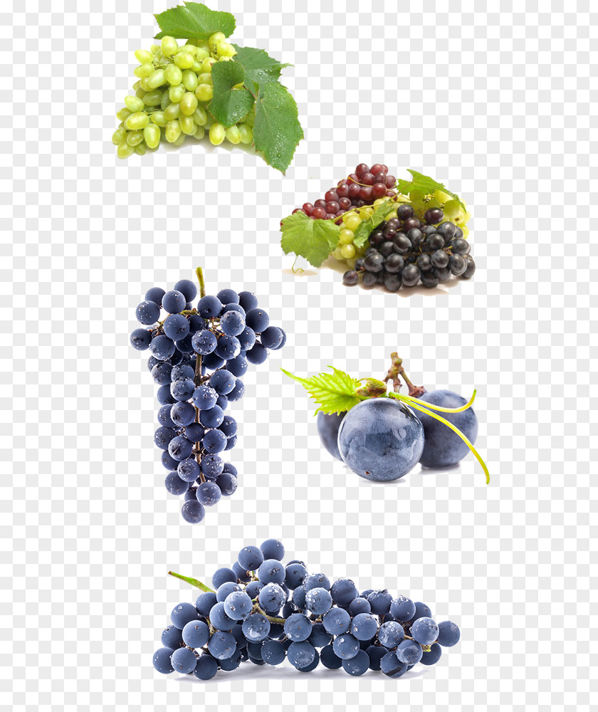 Purple Grapes Beer Wine Grape Homebrewing PNG