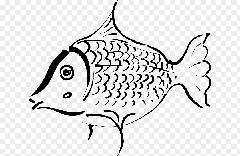 Chinese Animal Goldfish Drawing Clip Art PNG