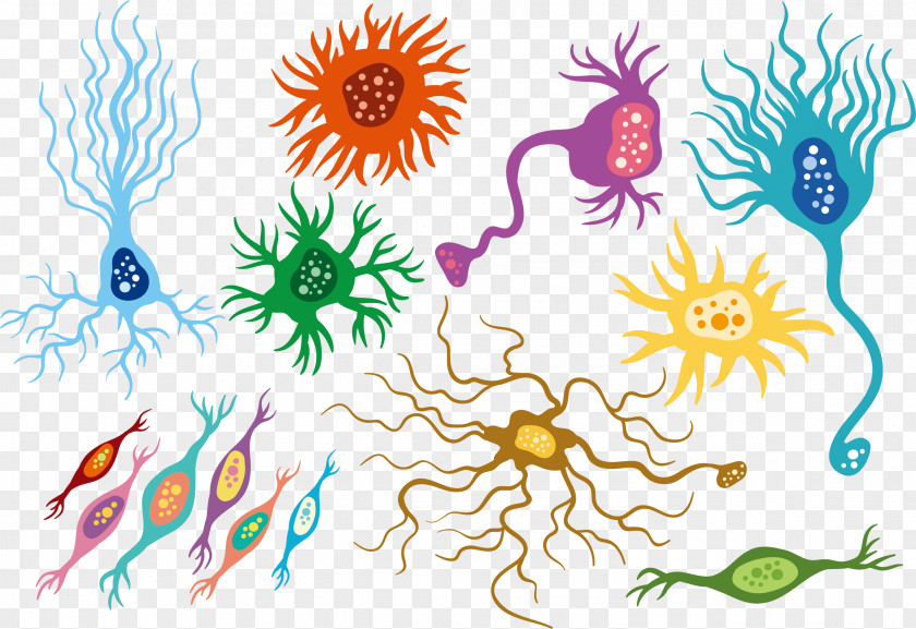 Colorful Human Neural Network Neuron Floral Design Artificial PNG