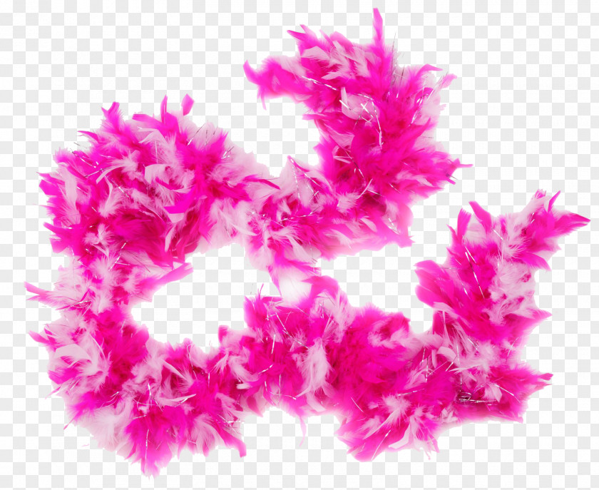 Exquisite Color Feather Boa Pink Party PNG