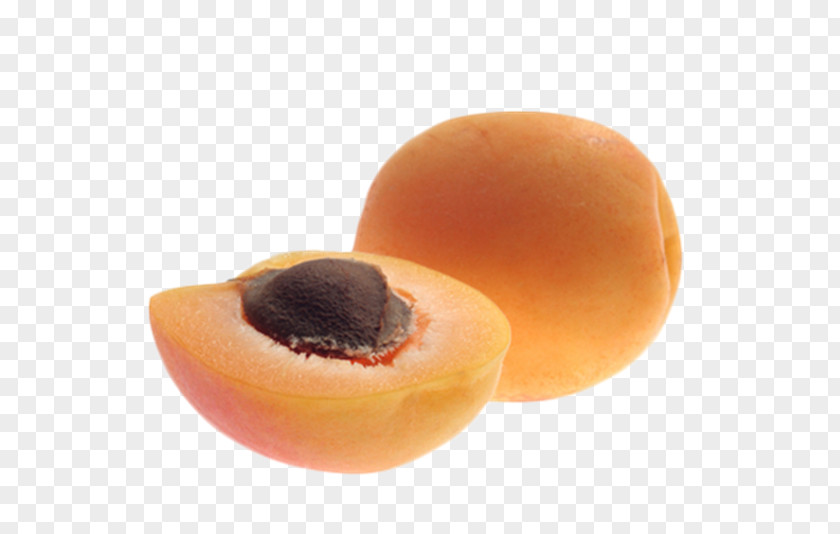 Fruta Apricot Kernel Amygdalin Oil Seed PNG