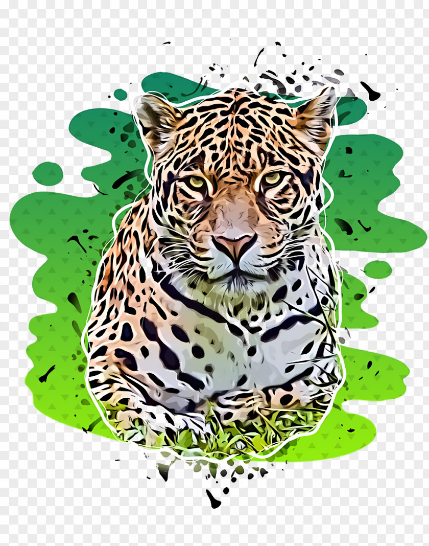 Leopard Tiger Cheetah Whiskers Snout PNG