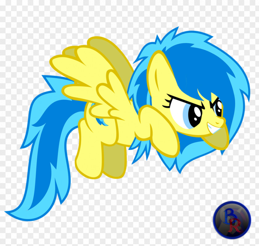 Pegasus Rainbow Dash My Little Pony Twilight Sparkle Derpy Hooves PNG
