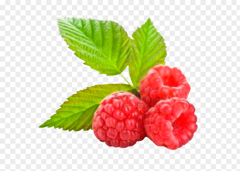 Raspberry Organic Food Red Juice PNG