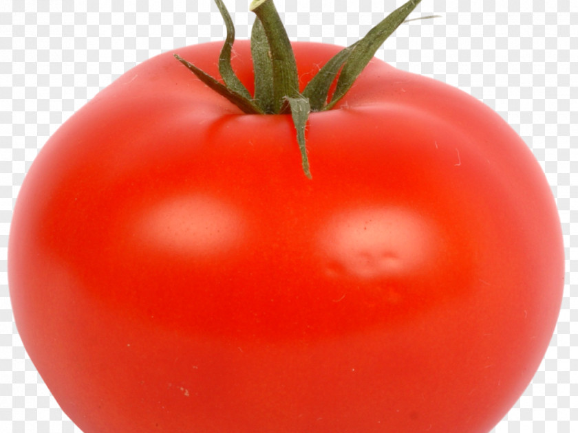 Tomato Plum Bush Image PNG