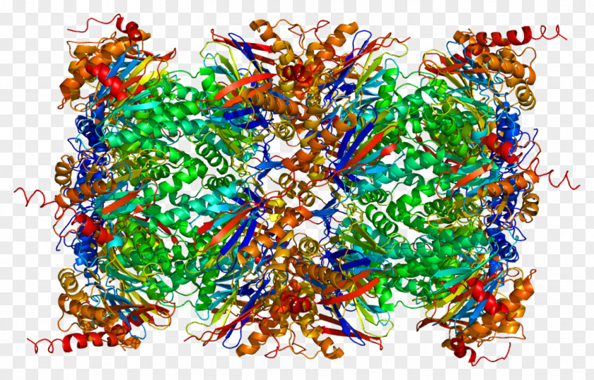 Atm Serinethreonine Kinase Threonine Protease Proteasome Serine PNG