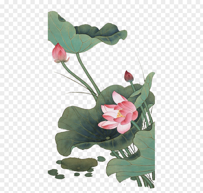 Chinese Style Lotus China Painting Gongbi Bird-and-flower PNG