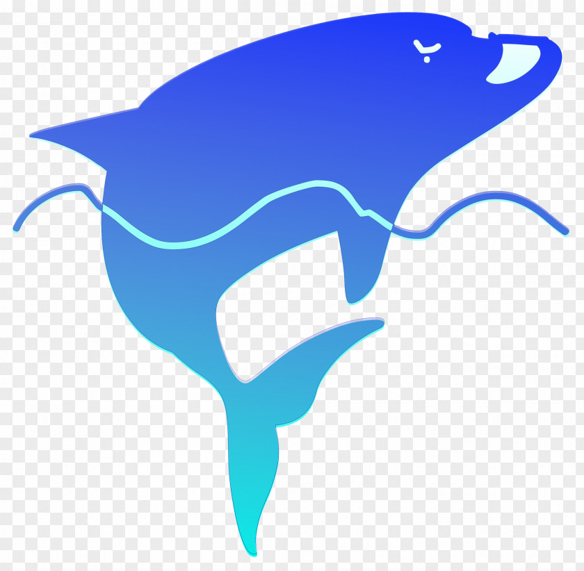 Dolphin PNG